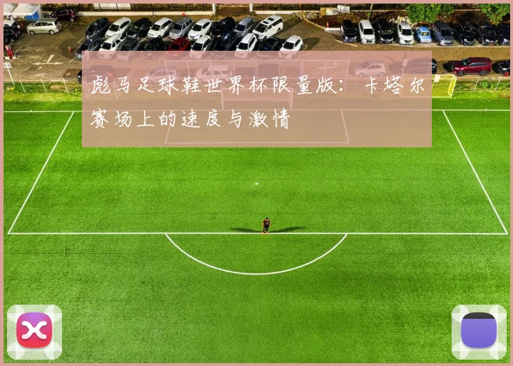 彪马足球鞋世界杯限量版：卡塔尔赛场上的速度与激情